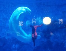 天津海昌极地海洋公园门